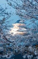 下载开云体育官网app-探索下载开云体育官网APP的奇趣之旅，运动爱好者的便利指南